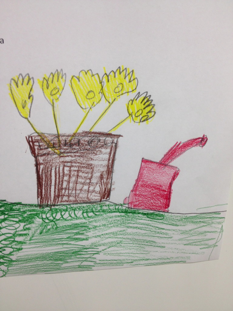 A Pretty Picture from Third Grade!